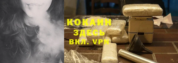 гашик Покровск