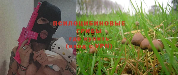 прущие крисы Алексин